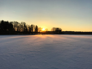 cold winter sunset behind trees with warm light falling on powder snow