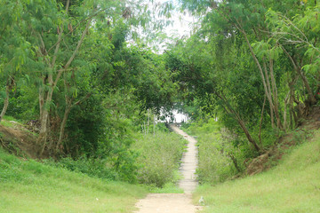 Green wooden street