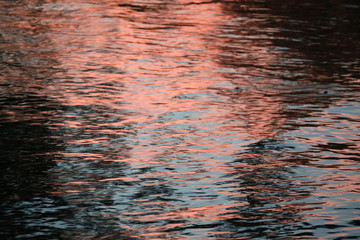 Water reflections