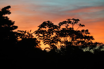 Sunset with tree shadow
