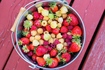 organic berries background