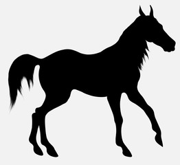 Black vector silhouette of horse with long mane, walking free. Clip art and design element for equine industry. Emblem of an agricultural animal.