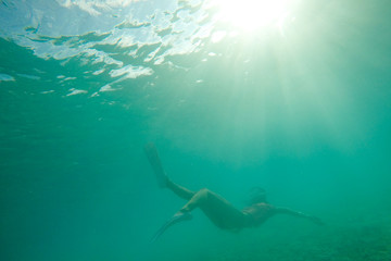 Fototapeta premium diver in sea
