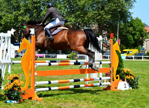 A rider on a beautiful horse, in a show jumping competition