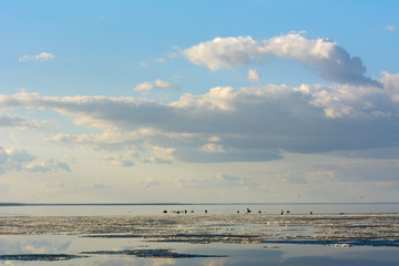 Melting the ice on the river in the spring