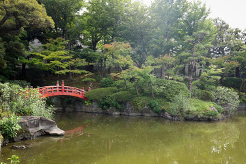 bridge in park