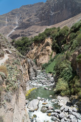 Colca Canyon Landscape