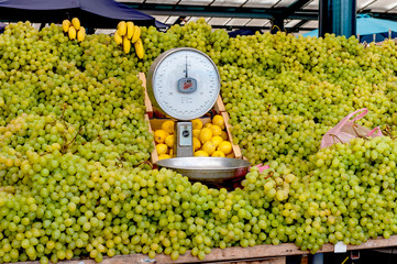 Wei&szlig;e Tafeltrauben