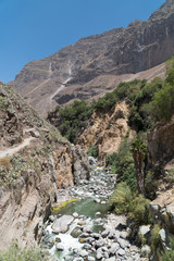 Colca Canyon Landscape