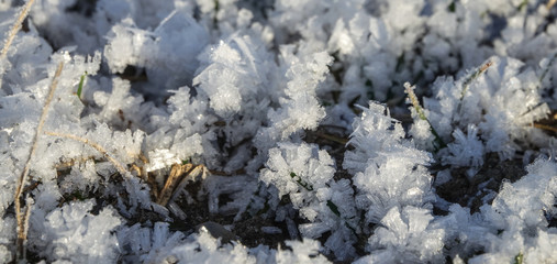 Frozen grass a sunny cold day. Background texture.