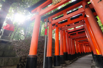 Fushimi inari shrine