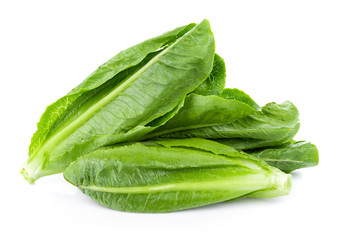fresh cos lettuce isolated on white background