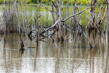 Cracked dry land without water.Abstract background.