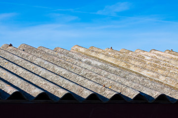 Old aged dangerous asbestos roof made of concrete panels - one of the most dangerous materials in buildings so-called ‘hidden killer’