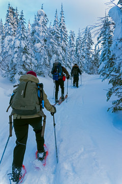 Snowshoeing through the Valley of Phantoms in Monts Valin NP, Saguenay-Lac-Saint-Jean, Quebec, Canada