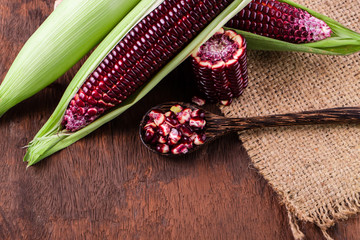 Fresh corn on cobs on rustic wooden table, closeup