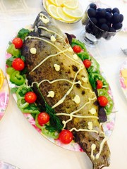 Fish 