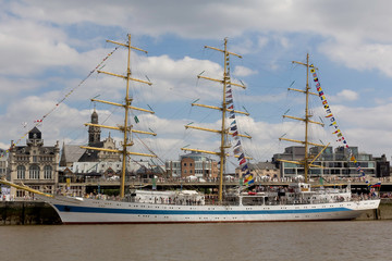 The cathedrals of the sea