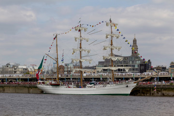 The cathedrals of the sea