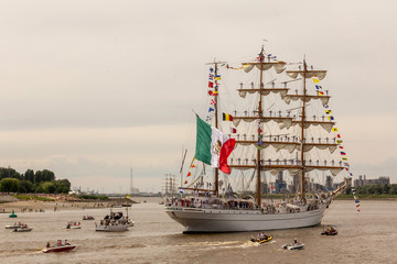 The cathedrals of the sea