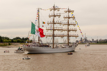 The cathedrals of the sea