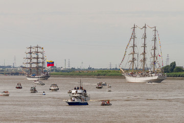 The cathedrals of the sea