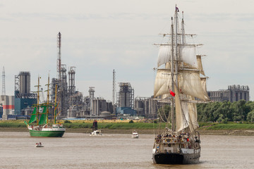 The cathedrals of the sea