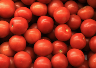 Red ripe tomatoes for sale