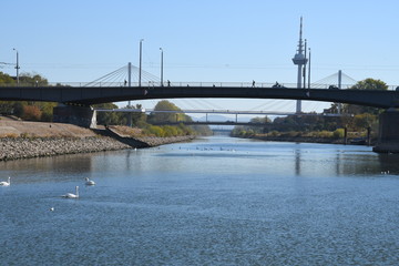 Fototapeta premium brücke fluss in mannheim hafen