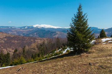 Obraz premium Early spring Carpathian mountains