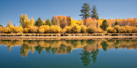 autumn landscape with river and trees