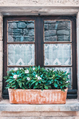 Fototapeta na wymiar Old vintage wooden window with curtains and flower pots