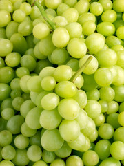 GREEN GRAPES