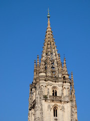 Fototapeta na wymiar La Santa Iglesia Basílica Catedral Metropolitana de San Salvador de Oviedo