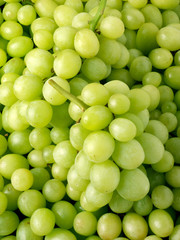 GREEN GRAPES