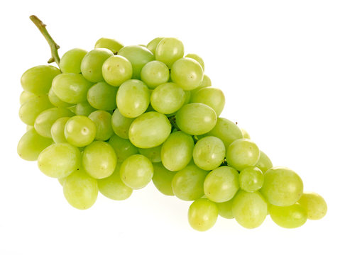 GREEN GRAPES ON WHITE