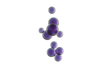 Bubbles