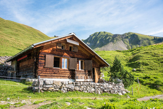 Alph&uuml;tte im Berner Oberland / Schweiz
