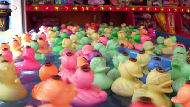 Ducks floating around in carnival game 4k