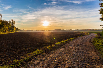 Fototapeta na wymiar Country lane with lens flare, road to nowhere concept