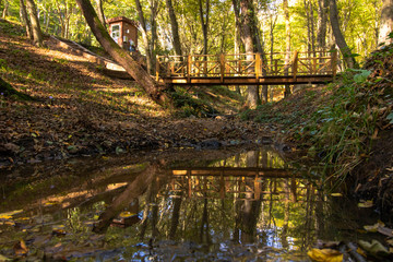 Fototapeta premium autumn in the park