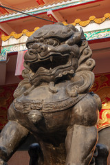 Fototapeta premium SONY DSC