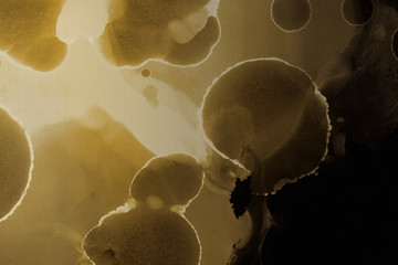 Gold alcohol ink wash texture on clean paper background. Liquid paint flow. Transparent ethereal effect.