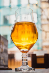 A glass of light beer in the bar against the window