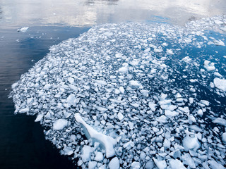 Brash ice, chunks of ice melting and drifting in water of Andvord Bay, Antarctica © TasfotoNL