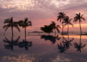 Naklejka na ściany i meble Tropical Paradise Palm Trees reflecting in a swimming pool on the beaches of Punta Mita, Mexico