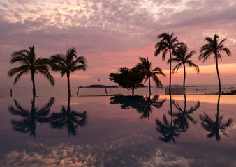 Obraz premium Tropical Paradise Palm Trees reflecting in a swimming pool on the beaches of Punta Mita, Mexico