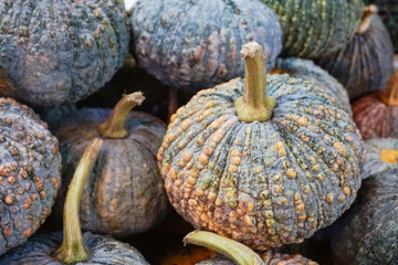 Organic thai pumpkin  from the farm at fresh market Thailand,ingrediant vegetarian food,fiber nutrition,high vitamin,prevent and treat healthy