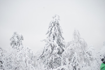 Large winter view at the mountains Alps Austria