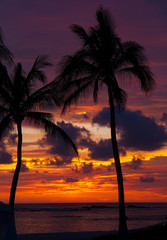 Tropical Paradise Sunset on the sandy beaches of Punta Mita, Mexico
